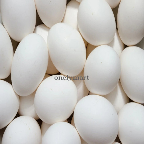 Poltry Eggs
